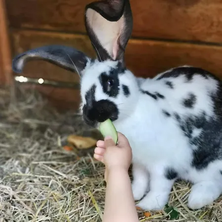Feriegård Pod Lasem Tupadła