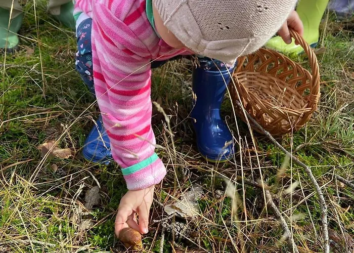 ファームステイ Pod Lasem *