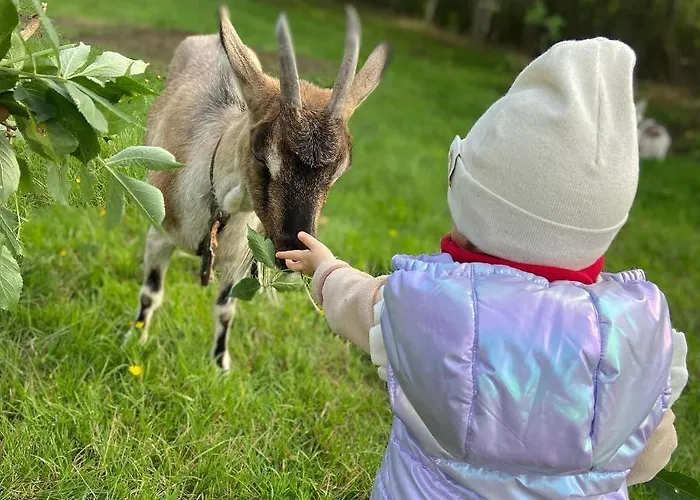 ファームステイ Pod Lasem *