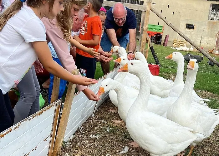 ファームステイ Pod Lasem Tupadła