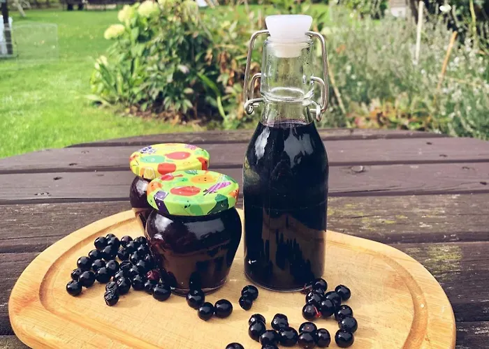 Pod Lasem ファームステイ Tupadła