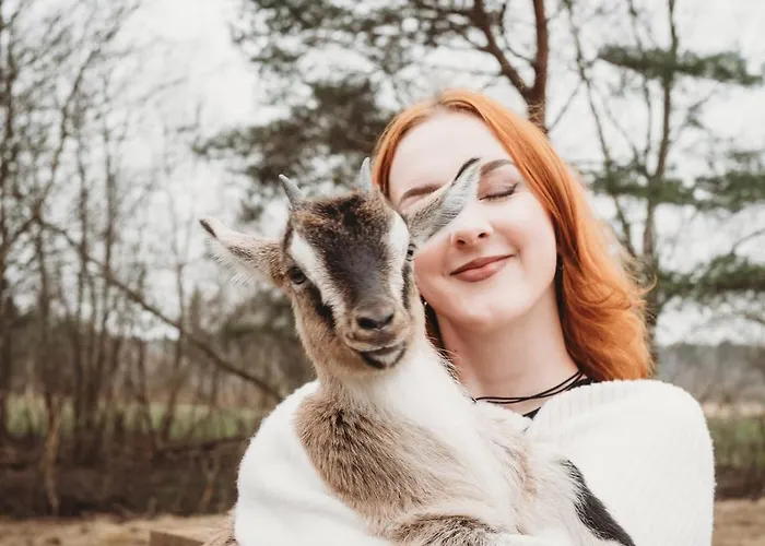 Pod Lasem * Tupadła