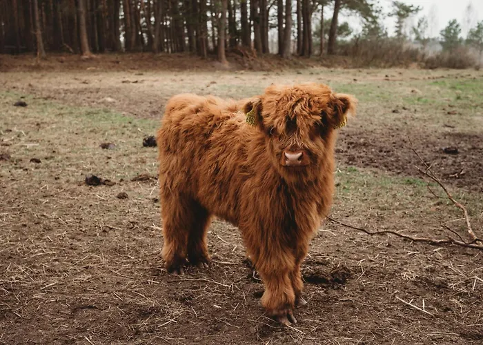 Pod Lasem ファームステイ